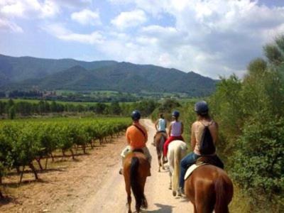 Pla Del Castell I Guest House Albarca Bagian luar foto