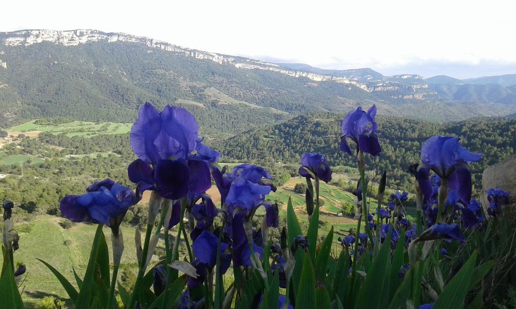 Pla Del Castell I Guest House Albarca Bagian luar foto